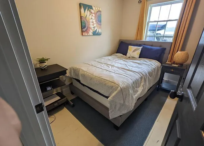 Walk To Washington Park, Pet-friendly, Backyard Springfield