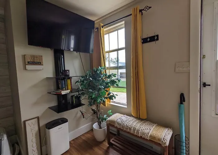 Apartment Walk To Washington Park, Pet-friendly, Backyard Springfield